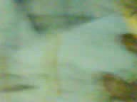 ရေချိုးချောင်းရိုက် ၆