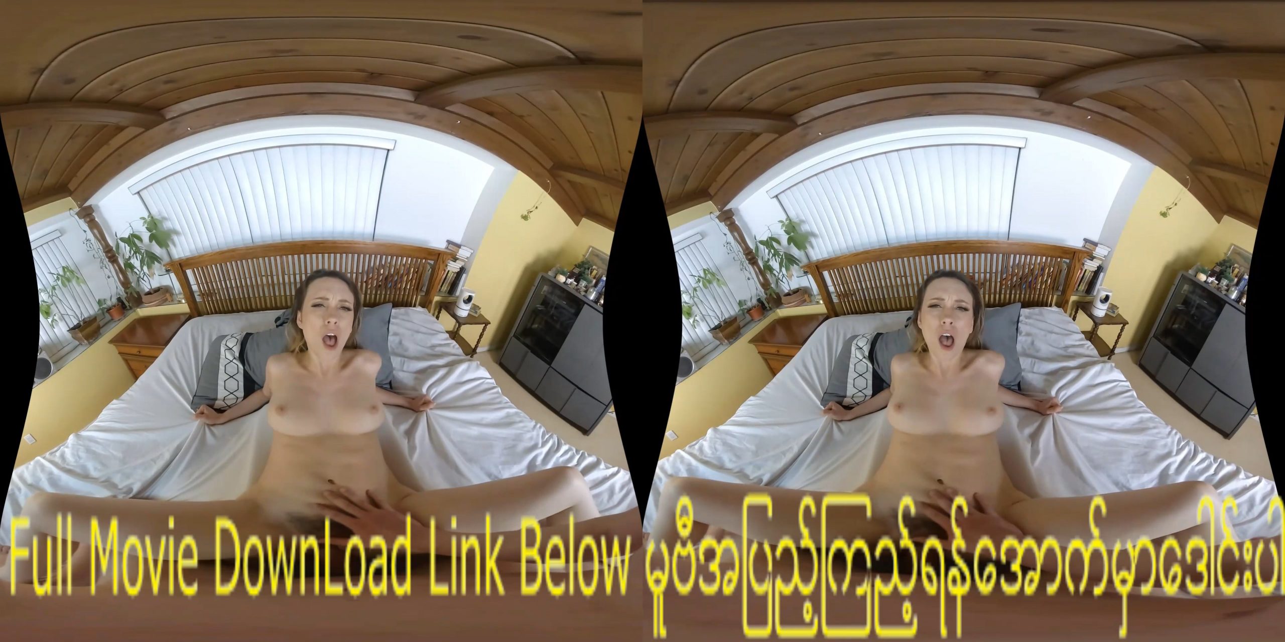 Wankz VR 1599_1920p_hd