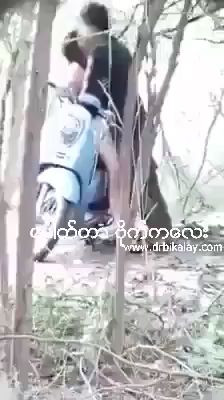 ချောင်းရိုက်လေး ၃၇