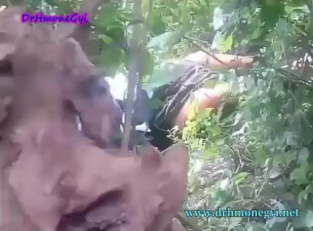 ခိုးစားလေးတွေ-၂၉