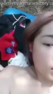တောထဲဖျာခင်းပိးဆွဲ