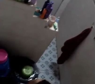 ရေချိုးချောင်းရိုက်အလန်းလေးများ-၂