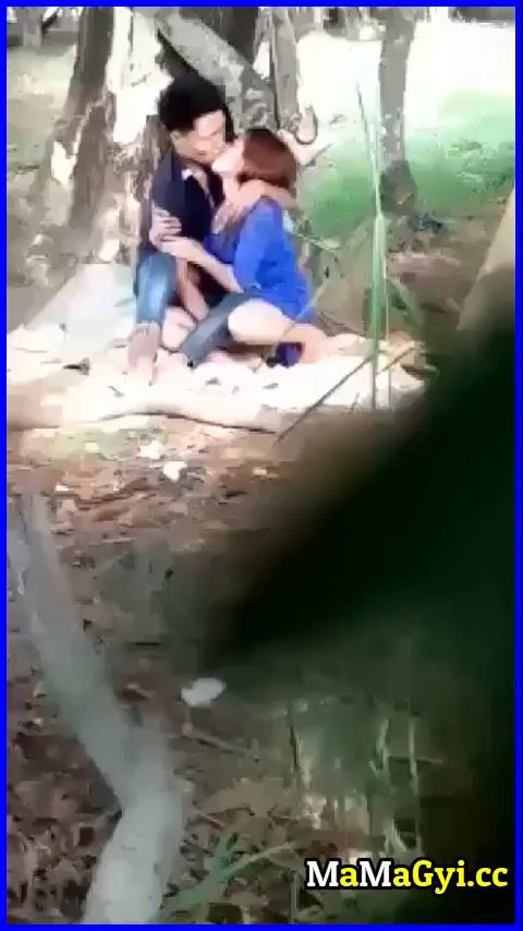 သစ်ပင်အောက်ကအတွဲချောင်းရိုက်